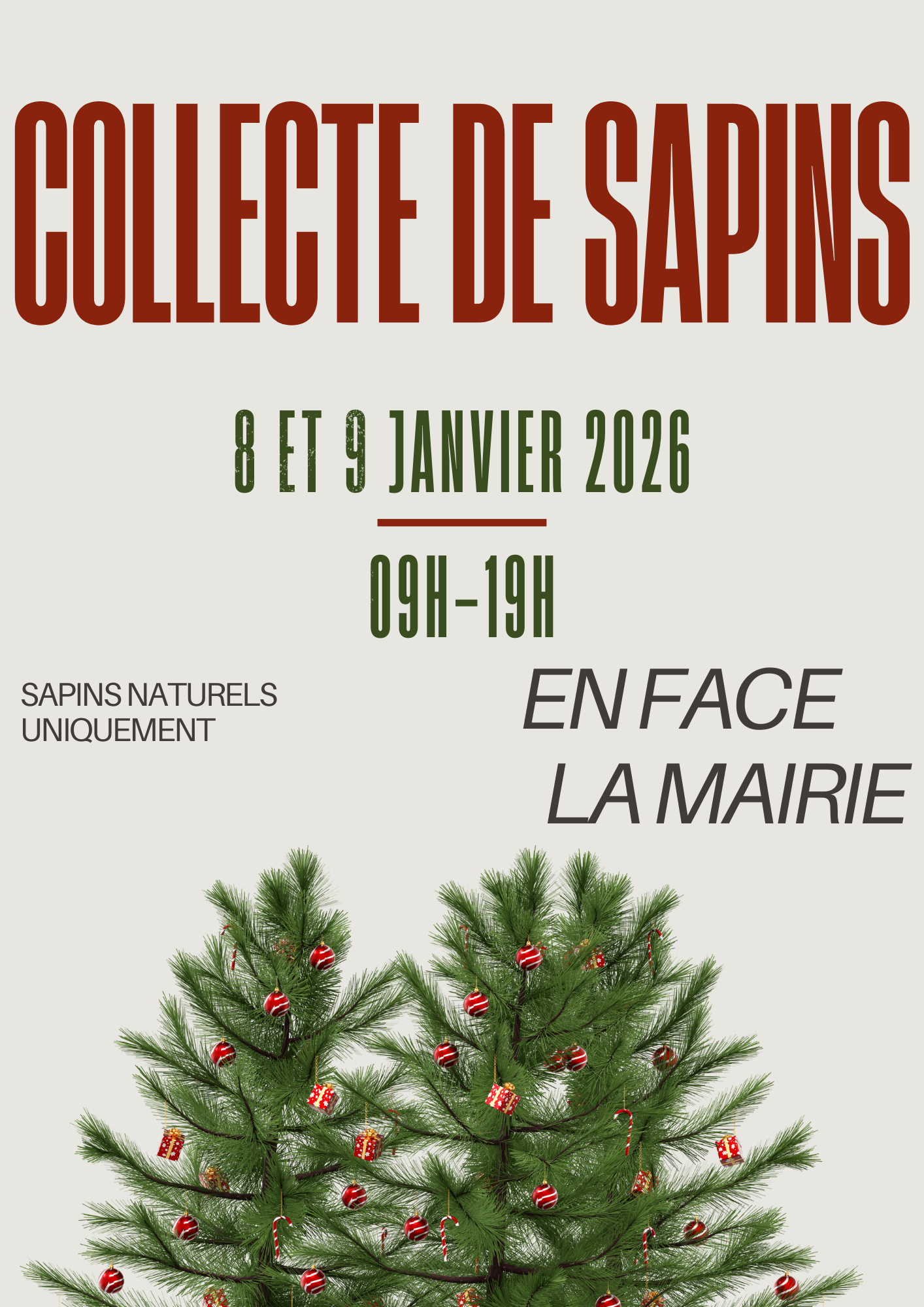 collecte de sapins