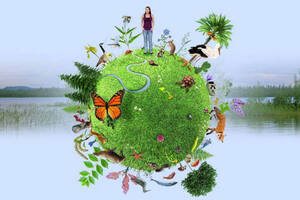 Biodiversité