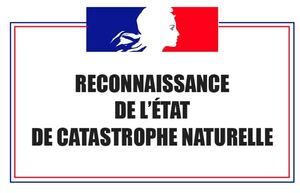 Cat nat