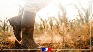 Dégrèvement 2026