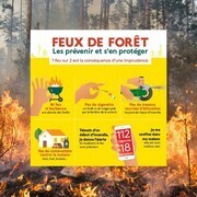 feu de forêt