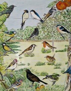 OISEAUX PEINTURE