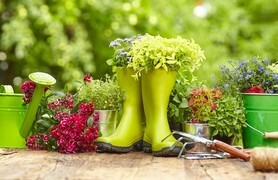 vide ton jardin