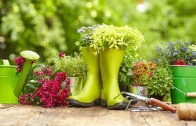 vide ton jardin
